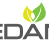 Edan ECG Cables and Leads - Image 4